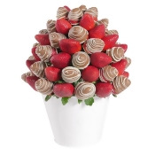 Strawberry Strawberry