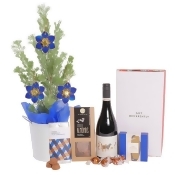 Traditional Christmas Plant Hamper Traditional Christmas Plant Hamper