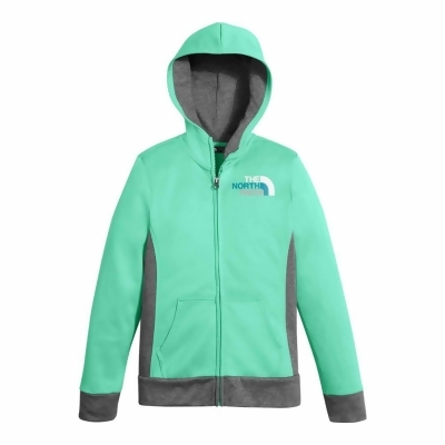 the north face kids hoodie