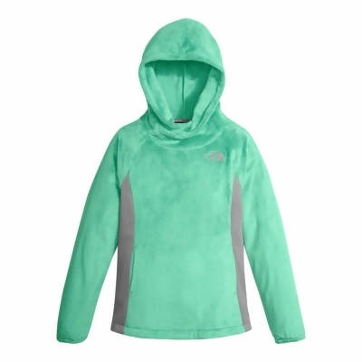 north face fleece pullover hoodie