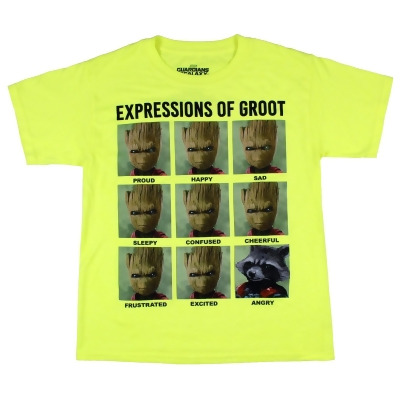 Marvel Guardians Of The Galaxy Boy's Expression Of Groot Angry Rocket Tee 