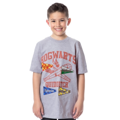 Harry Potter Boys' Hogwarts Quidditch Youth Short Sleeve T-Shirt 