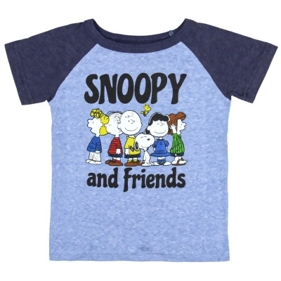 Peanuts Toddler Boys' Snoopy And Friends Raglan Collectible Graphic T-Shirt 
