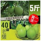 ★預購8/20-8/27出貨★買一送一【築地一番鮮】頂級40年老欉台南麻豆文旦5斤禮盒(4-6顆/盒) ★預購8/20-8/27出貨★買一送一【築地一番鮮】頂級40年老欉台南麻豆文旦5斤禮盒(4-6顆/盒)
