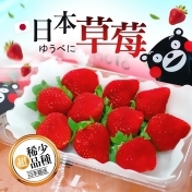 【築地一番鮮】季節限定-日本空運夢幻草莓1箱(500g/箱) 【築地一番鮮】季節限定-日本空運夢幻草莓1箱(500g/箱)