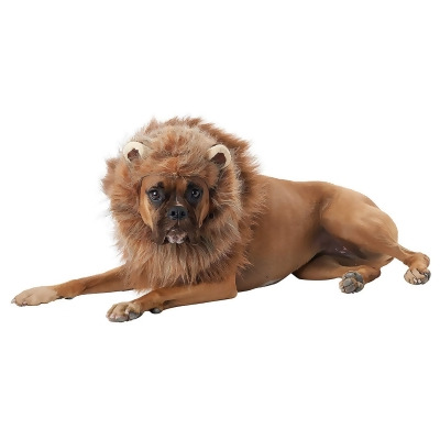 King of the Jungle Lion Dog Costume 
