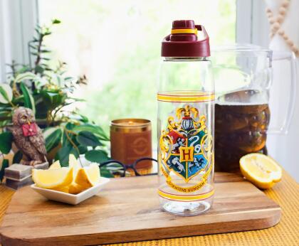 Harry Potter Hogwarts 28oz Water Bottle