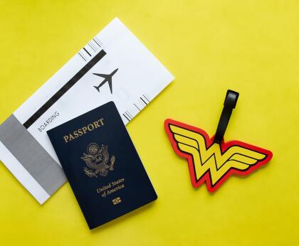 DC Comics Wonder Woman Logo Travel Luggage Tag With Suitcase ID Card Label alternate image