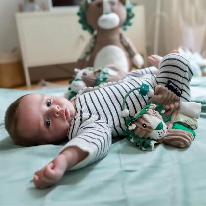 Les Deglingos Baby Activity Rattle | Jelekros the Lion alternate image