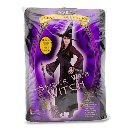 Spider Web Witch Costume alternate image