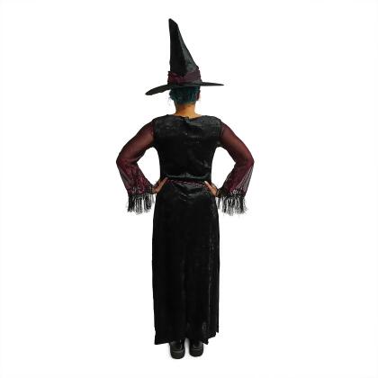 Spider Web Witch Costume alternate image