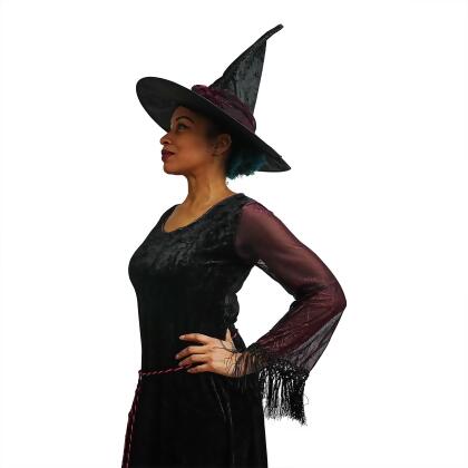 Spider Web Witch Costume alternate image