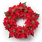 Poinsettia Wreath Poinsettia Wreath
