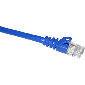 Cp Technologies C6-bl-100-m 100Ft Cat6 550Mhz Blue Molded - All
