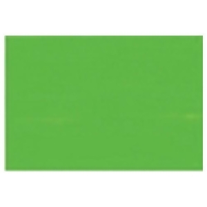 Gamblin Artists Colors Co 2500 Gamblin Artists Grade Permanent Green Light 150Ml - All