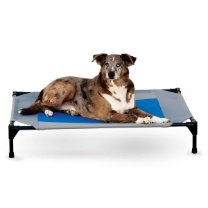 K H Pet Products 1676 Gray / Blue K H Pet Products Coolin' Pet Cot Large Gray / Blue 30 X 42 X 7 - All