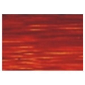 Gamblin Artists Colors Co 2681 Gamblin Artists Grade Transparent Earth Orange 150Ml - All