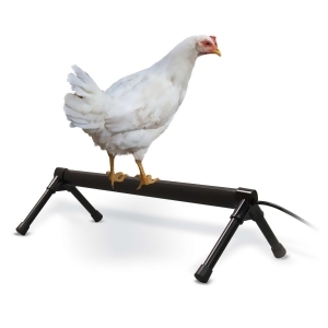 K H Pet Products 2111 Gray K H Pet Products Thermo-chicken Perch Gray 36 X 14 X 8 - All