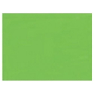 Gamblin Artists Colors Co 2885 Gamblin Artists Grade Radiant Green 150Ml - All
