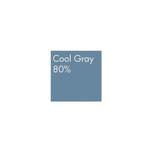 Chartpak Inc. S030ad Spectra Ad Marker Cool Gray 80 - All