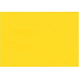 Gamblin Artists Colors Co F2310 Fast Matte Hansa Yellow Medium 150Ml - All