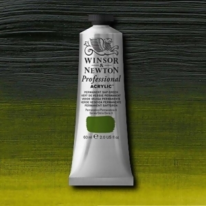 Winsor Newton / Colart 2337503 Artists Acrylic Colour 200Ml Permanent Sap Green - All