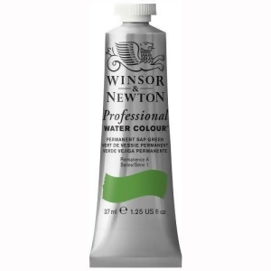 Winsor Newton / Colart 0114503 Professional Water Colour Permanent Sap Green 37Ml - All