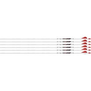 Beman 026415 Beman Arrow Ics White Out 400 W/xpv Vanes 6-Pack - All