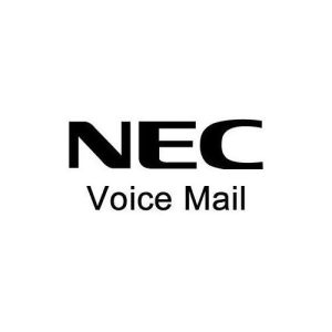 Nec Sl1100 1100112 Be110731 Cf 2 Ports/15 Hours Voice Mail - All