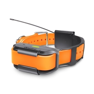 Dogtra Pathfinder-rx-orng Orange Dogtra Pathfinder Extra Collar Orange - All