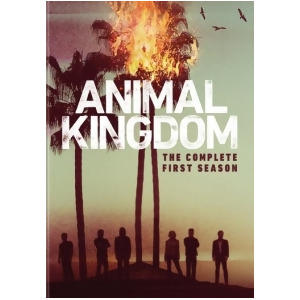 Animal Kingdom-complete 1St Season Dvd/3 Disc - All