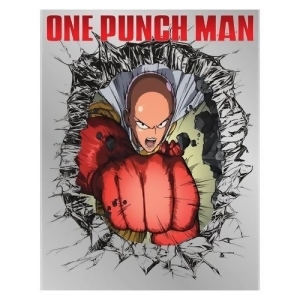 One Punch Man Blu-ray/dvd/4 Disc/combo - All