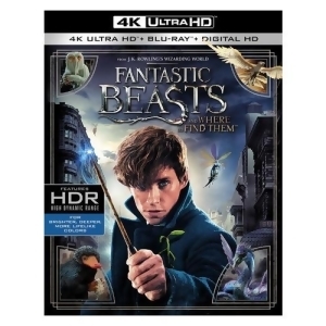 Fantastic Beasts Where To Find Them Blu-ray/4k-uhd/2 Disc - All