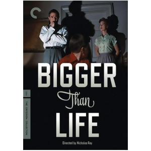 Bigger Than Life Dvd - All