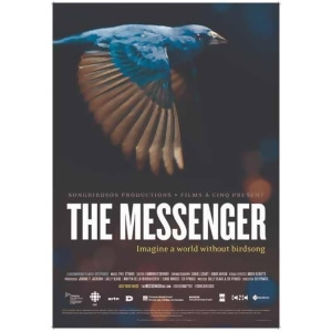 Messenger Dvd/2015/ws 1.78/Span-sub - All