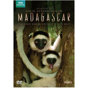 Madagascar 2011/Dvd - All