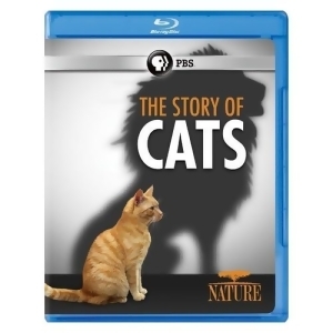 Nature-story Of Cats Blu-ray - All