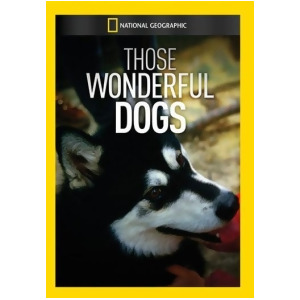 Mod-ng-those Wonderful Dogs Dvd/non-returnable - All