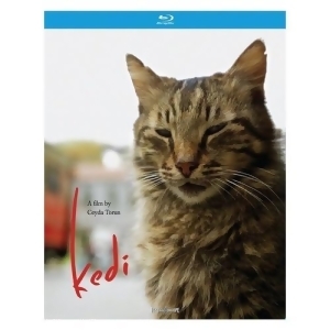 Kedi Blu-ray - All