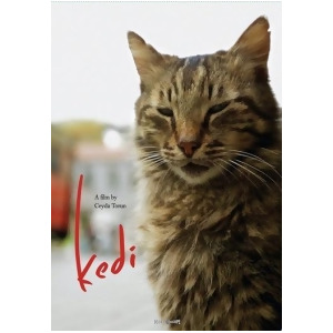 Kedi Dvd - All