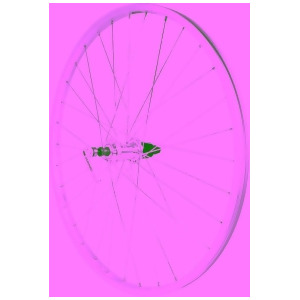 Wheel Al 26 Rr Hg Qr Sil Alex Z1000 - All