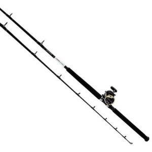 Daiwa Sl20sh/sl701m Daiwa Sl20sh/sl701m Sealine Saltwater Pmc - All