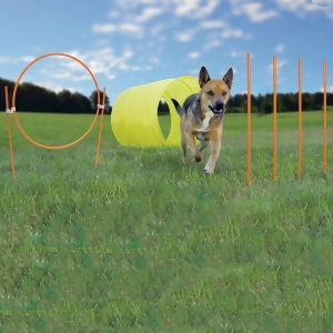 Outward Hound Oh3016 Outward Hound Dog Agility Starter Kit Outdoor - All