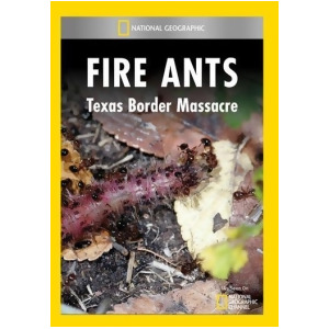 Mod-ng-fire Ants Texas Border Mas Dvd/non-returnable - All