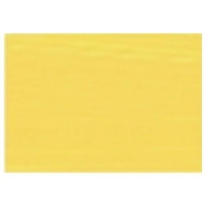 Gamblin Artists Colors Co 2450 Gamblin Artists Grade Naples Yellow 150Ml - All