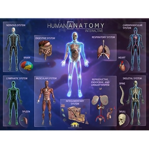 UPC 858030003030 product image for Popar Human Anatomy Smart Mats Set Of 4 - All | upcitemdb.com