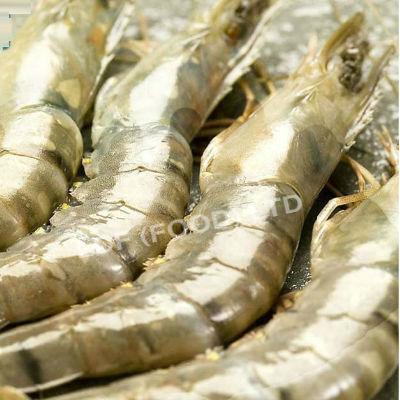 f01029 越南花虎虾皇10/12 (约9吋) 1 kg