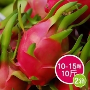 集集紅肉火龍果10斤(10-15顆)*2箱/ 集集紅肉火龍果10斤(10-15顆)*2箱