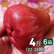 枋寮A+黑珍珠蓮霧4斤(22-28顆)*6箱 枋寮A+黑珍珠蓮霧4斤(22-28顆)*6箱