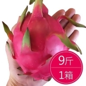 夏日美顏必吃火龍果(9斤)*1箱 夏日美顏必吃火龍果(9斤)*1箱